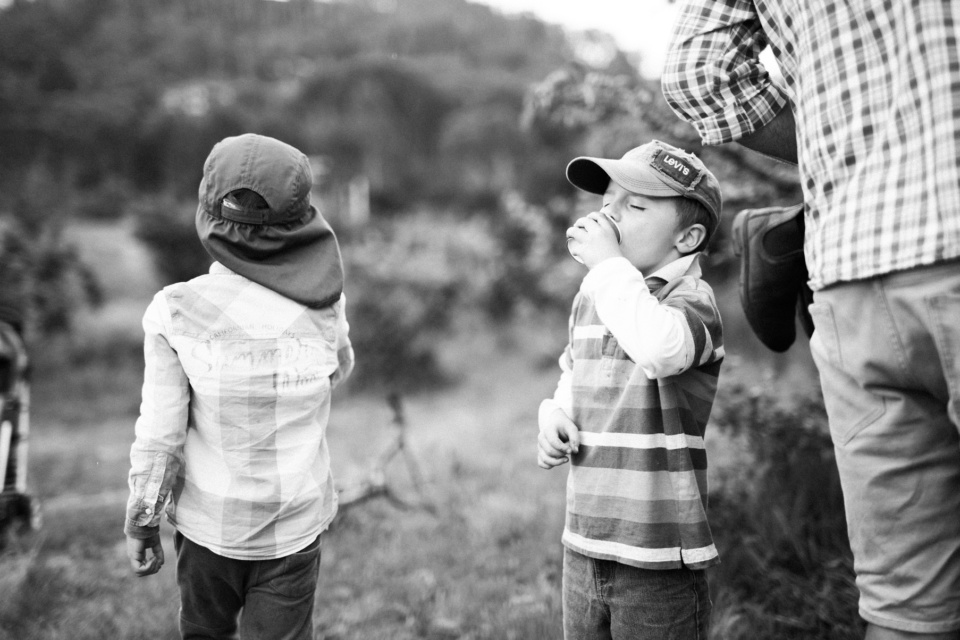 Muddy Creek Apples 24 by Lusy Productions