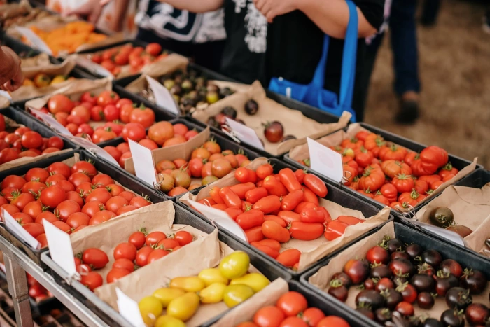 Tomato Garlic Festival2025 64