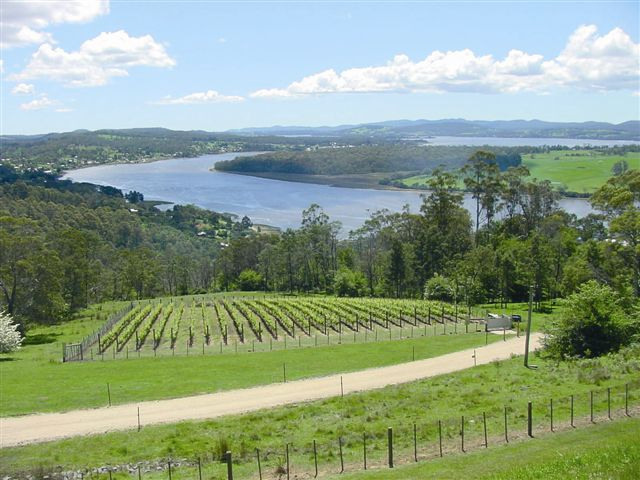 Tamar Valley Bradys Lookout 1