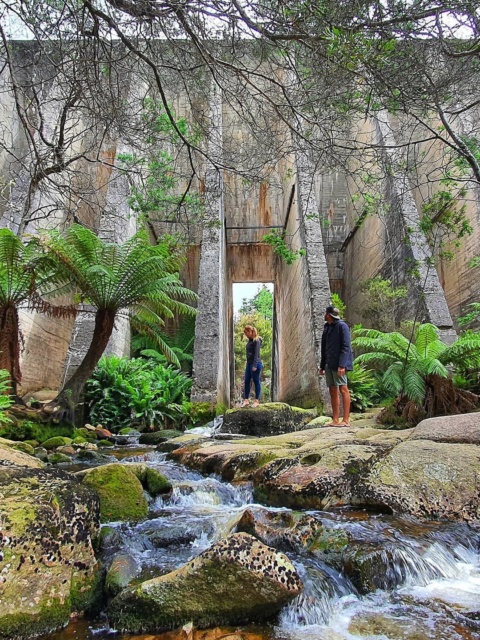 The Ultimate North East Tasmanian Bucket List